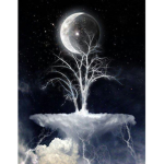 Dark Moon Souls Of Darkness