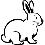 Bunny's Club!