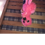 Loves roblox squad