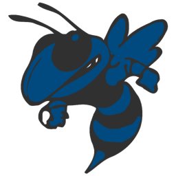The Hive - Springfield Sting