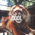 bl00dn3ss