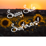 Sunny Side Sunflowers!