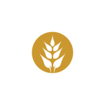 WheatLoopStudio