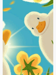 //ducky's clothing store//