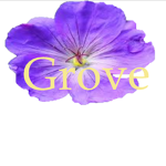 The Violet Grove
