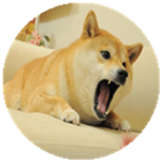 ||The Doge Clan||