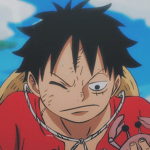 Team straw hats group
