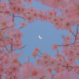 𝘼