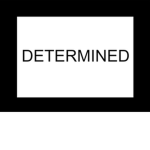 Determined Fan Group