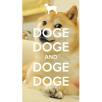 kool aid doge