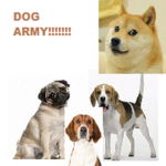 DOG ARMY!!!!!!!