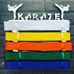 Sensei Dojo