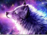 Under dogs we are family