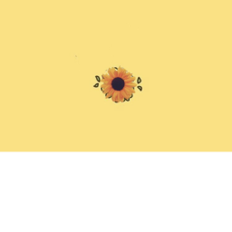 Paradise Sunshine Cafe