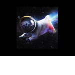 Galaxy pug