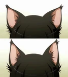 kittn ears Group Thumbnail