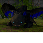 LOVE_DRAGONS