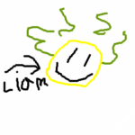 Liam Smells