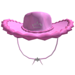 Pink Cowboy Hat