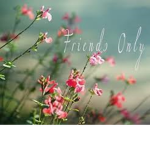 Something For Friends