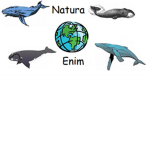 Supports of the Bowhead whale!