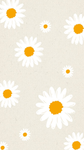 The Daisy's Squad
