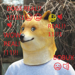 Memes kkkkk sim ovo
