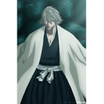 Bleach fan hub