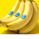 BANANA GROUP PEOPLE