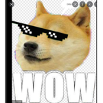 THE DOGE CLAN 123