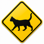 Cat Crossing