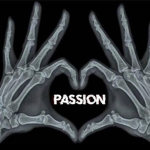 { passion }