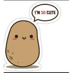 ~Team Des Patates~