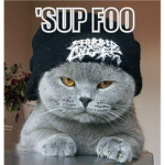 i dont give a crap