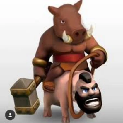 RIDER HOG