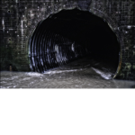 The Sewer Dwellers