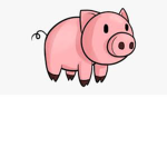 Piggy nation rules!