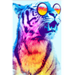 TEAM TIGER!