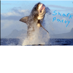 SHARK PARTY