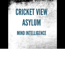 cricket view asylum