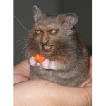 thghg