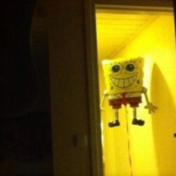 Sponge bob