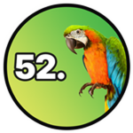 52: Animals 2