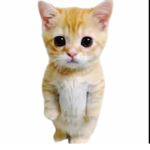Los gatos but meowy