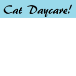 Cat Daycare
