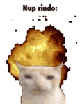 Exploding kitties
