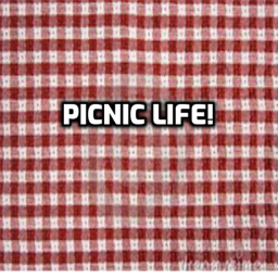 Picnic Life [BETA]
