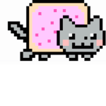 dimond cat studios