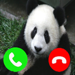 ThePanda Twins fan group!