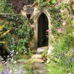 - Fairy fields -